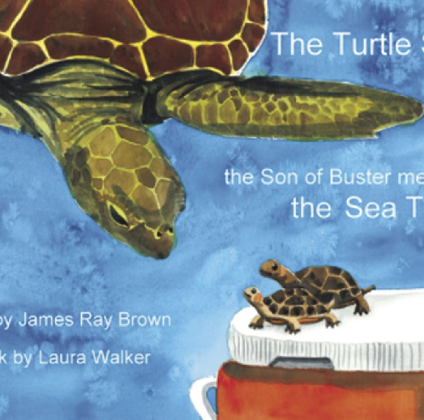 Turtle story